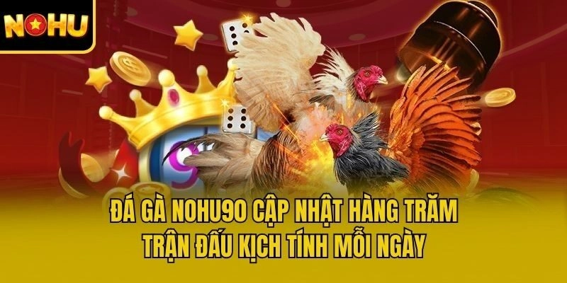 Đá gà Nohu90 cập nhật hàng trăm trận đấu kịch tính mỗi ngày